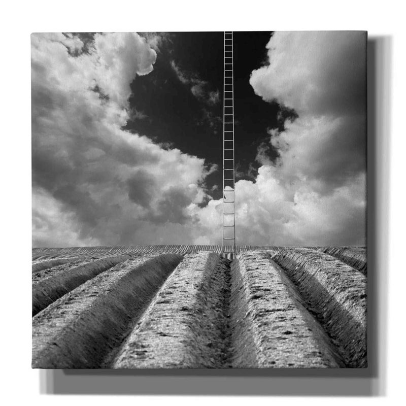 Epic Graffiti 'Jacob's Ladder' by Dariusz Klimczak, Canvas Wall Art, 18"x18" - Image 1